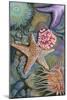 Tidepool Scene-Lantern Press-Mounted Art Print