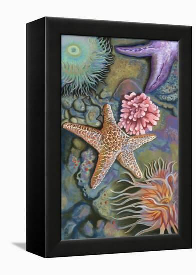 Tidepool Scene-Lantern Press-Framed Stretched Canvas