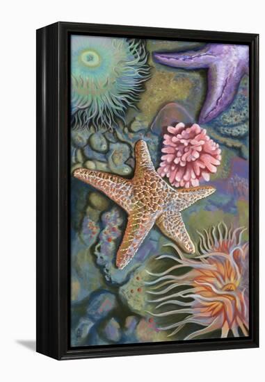 Tidepool Scene-Lantern Press-Framed Stretched Canvas