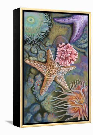 Tidepool Scene-Lantern Press-Framed Stretched Canvas