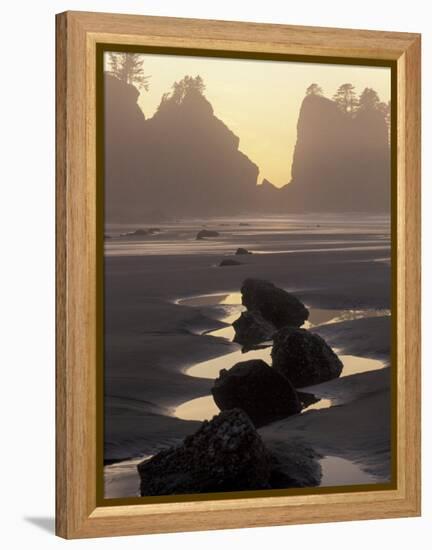 Tidepools and Seastacks, Shi Shi Beach, Olympic National Park, Washington, USA-Adam Jones-Framed Premier Image Canvas