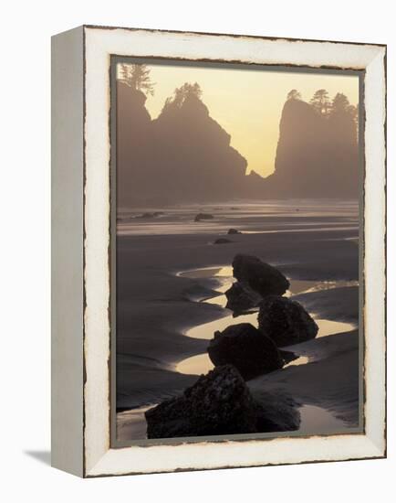 Tidepools and Seastacks, Shi Shi Beach, Olympic National Park, Washington, USA-Adam Jones-Framed Premier Image Canvas