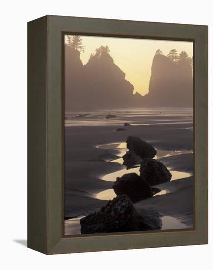 Tidepools and Seastacks, Shi Shi Beach, Olympic National Park, Washington, USA-Adam Jones-Framed Premier Image Canvas