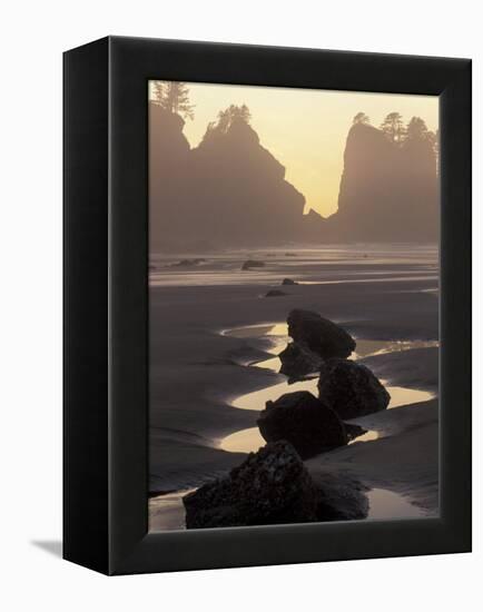 Tidepools and Seastacks, Shi Shi Beach, Olympic National Park, Washington, USA-Adam Jones-Framed Premier Image Canvas