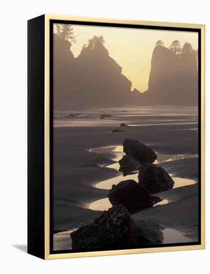 Tidepools and Seastacks, Shi Shi Beach, Olympic National Park, Washington, USA-Adam Jones-Framed Premier Image Canvas