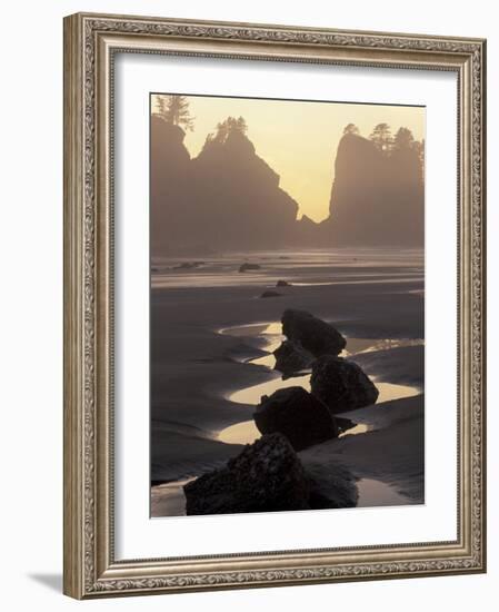 Tidepools and Seastacks, Shi Shi Beach, Olympic National Park, Washington, USA-Adam Jones-Framed Photographic Print