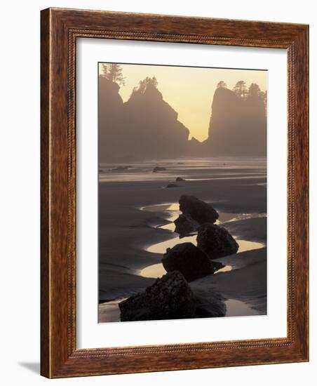 Tidepools and Seastacks, Shi Shi Beach, Olympic National Park, Washington, USA-Adam Jones-Framed Photographic Print