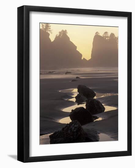 Tidepools and Seastacks, Shi Shi Beach, Olympic National Park, Washington, USA-Adam Jones-Framed Photographic Print