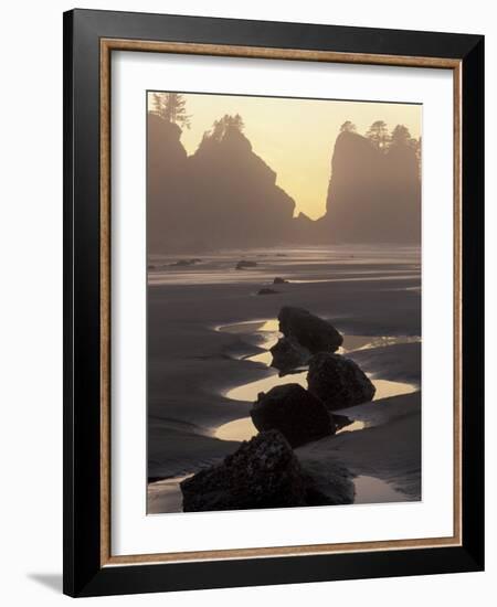 Tidepools and Seastacks, Shi Shi Beach, Olympic National Park, Washington, USA-Adam Jones-Framed Photographic Print