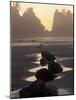 Tidepools and Seastacks, Shi Shi Beach, Olympic National Park, Washington, USA-Adam Jones-Mounted Photographic Print