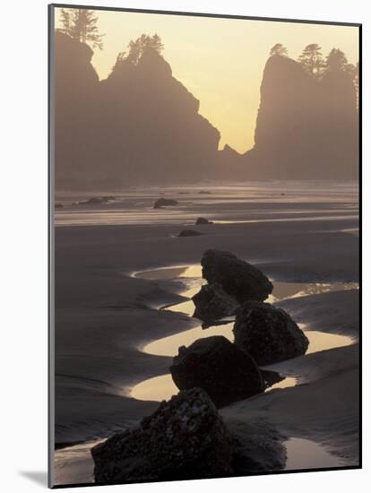 Tidepools and Seastacks, Shi Shi Beach, Olympic National Park, Washington, USA-Adam Jones-Mounted Photographic Print