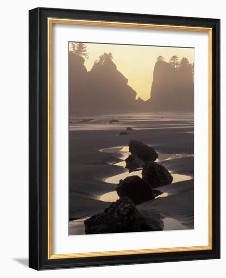 Tidepools and Seastacks, Shi Shi Beach, Olympic National Park, Washington, USA-Adam Jones-Framed Photographic Print