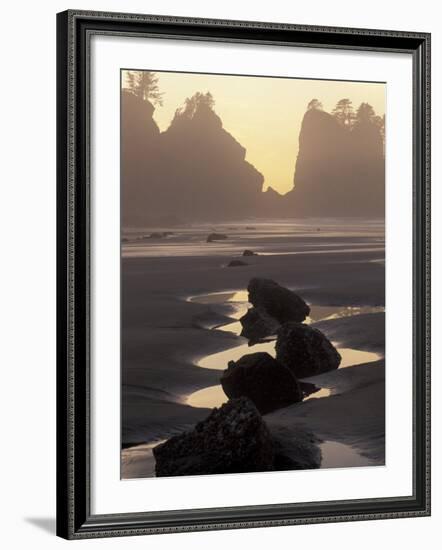 Tidepools and Seastacks, Shi Shi Beach, Olympic National Park, Washington, USA-Adam Jones-Framed Photographic Print