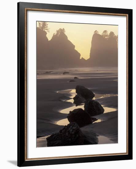 Tidepools and Seastacks, Shi Shi Beach, Olympic National Park, Washington, USA-Adam Jones-Framed Photographic Print