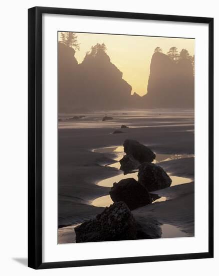 Tidepools and Seastacks, Shi Shi Beach, Olympic National Park, Washington, USA-Adam Jones-Framed Photographic Print