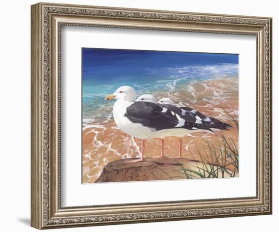 Tidewater Trio-Scott Westmoreland-Framed Art Print