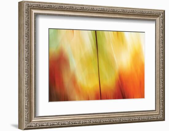 Tie Dye I-Andrew Michaels-Framed Photographic Print