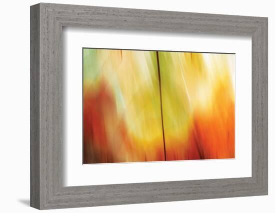 Tie Dye I-Andrew Michaels-Framed Photographic Print