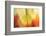 Tie Dye I-Andrew Michaels-Framed Photographic Print