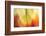 Tie Dye I-Andrew Michaels-Framed Photographic Print