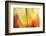 Tie Dye I-Andrew Michaels-Framed Photographic Print