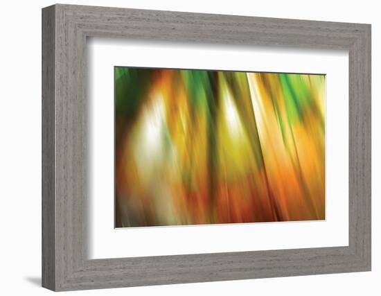 Tie Dye II-Andrew Michaels-Framed Photographic Print