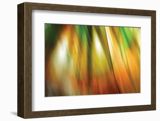 Tie Dye II-Andrew Michaels-Framed Photographic Print