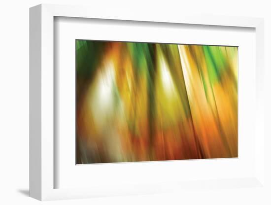 Tie Dye II-Andrew Michaels-Framed Photographic Print