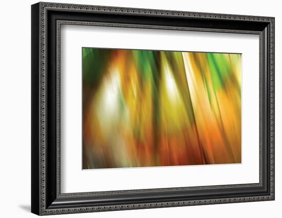 Tie Dye II-Andrew Michaels-Framed Photographic Print