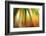 Tie Dye II-Andrew Michaels-Framed Photographic Print