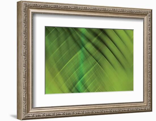 Tie Dye IV-Andrew Michaels-Framed Photographic Print