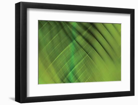 Tie Dye IV-Andrew Michaels-Framed Photographic Print