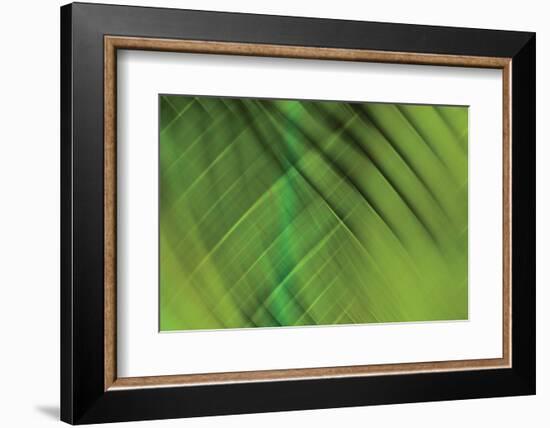 Tie Dye IV-Andrew Michaels-Framed Photographic Print