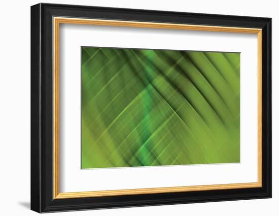 Tie Dye IV-Andrew Michaels-Framed Photographic Print