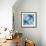 Tie-Dye of Indigo Color-Marina Zakharova-Framed Premium Giclee Print displayed on a wall