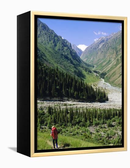 Tien Shan Mountains, Ala Archa Canyon, Kyrgyzstan, Central Asia-Upperhall Ltd-Framed Premier Image Canvas