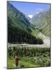 Tien Shan Mountains, Ala Archa Canyon, Kyrgyzstan, Central Asia-Upperhall Ltd-Mounted Photographic Print