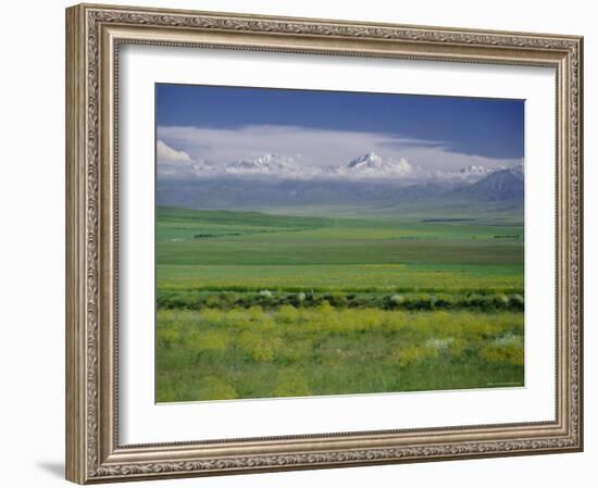 Tien Shan (Tian Shan) Mountains (Celestial Mountains), Kazakhstan, Fsu, Central Asia, Asia-N A Callow-Framed Photographic Print