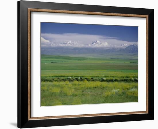 Tien Shan (Tian Shan) Mountains (Celestial Mountains), Kazakhstan, Fsu, Central Asia, Asia-N A Callow-Framed Photographic Print