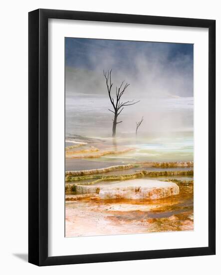 Tiered Pools at Mammoth Hot Springs in Yellowstone National Park, Wyoming, USA-David Cobb-Framed Photographic Print