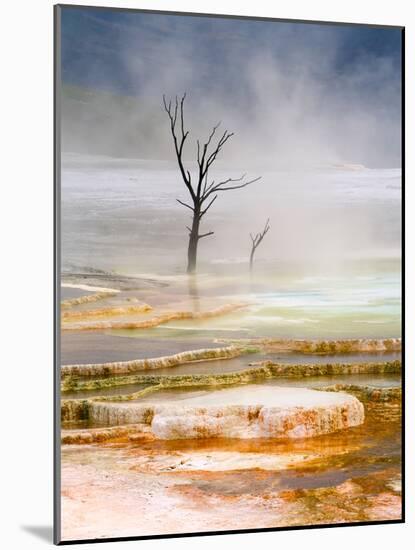 Tiered Pools at Mammoth Hot Springs in Yellowstone National Park, Wyoming, USA-David Cobb-Mounted Photographic Print