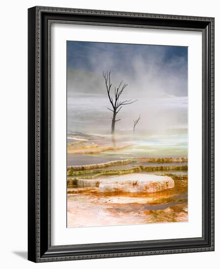 Tiered Pools at Mammoth Hot Springs in Yellowstone National Park, Wyoming, USA-David Cobb-Framed Photographic Print