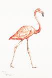 Flamingo Duo II-Tiffany Hakimipour-Art Print