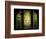 Tiffany Stained Glass Window-null-Framed Photographic Print