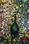 Fine Peacock Leaded Glass Domestic Window-Tiffany Studios-Giclee Print