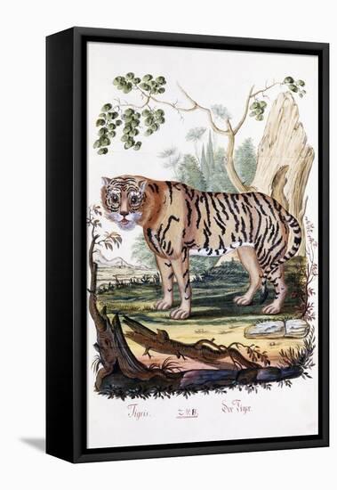 Tiger, 1794-null-Framed Premier Image Canvas