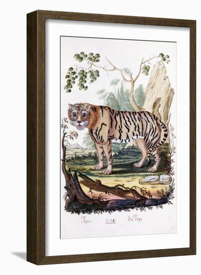 Tiger, 1794-null-Framed Giclee Print