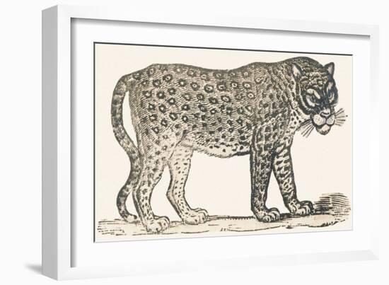 Tiger, 1850 (Engraving)-Louis Simon (1810-1870) Lassalle-Framed Giclee Print