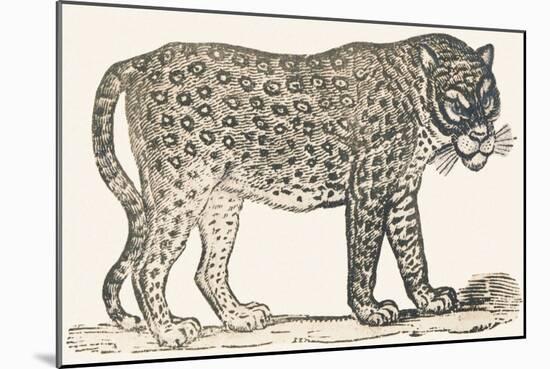 Tiger, 1850 (Engraving)-Louis Simon (1810-1870) Lassalle-Mounted Giclee Print