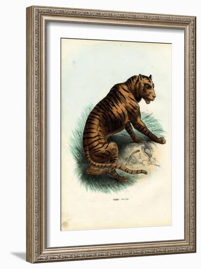 Tiger, 1863-79-Raimundo Petraroja-Framed Giclee Print